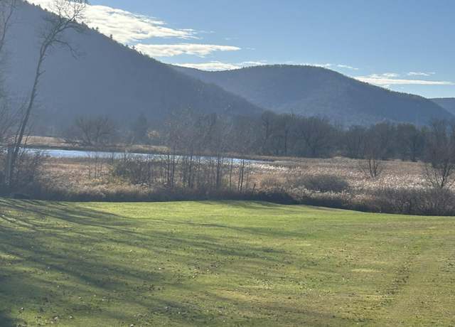 Property at PARCEL 056D Route 6, Wellsboro, PA 16901