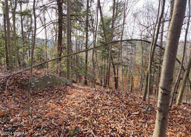 Property at Pole Bridge Rd, Laporte, PA 18626