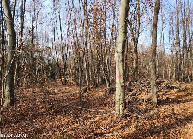 Property at Pole Bridge Rd, Laporte, PA 18626
