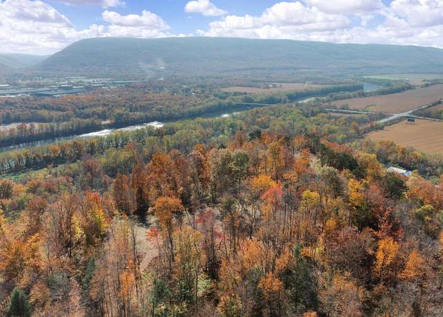 Property at 0 Route 150, Avis, PA 17721