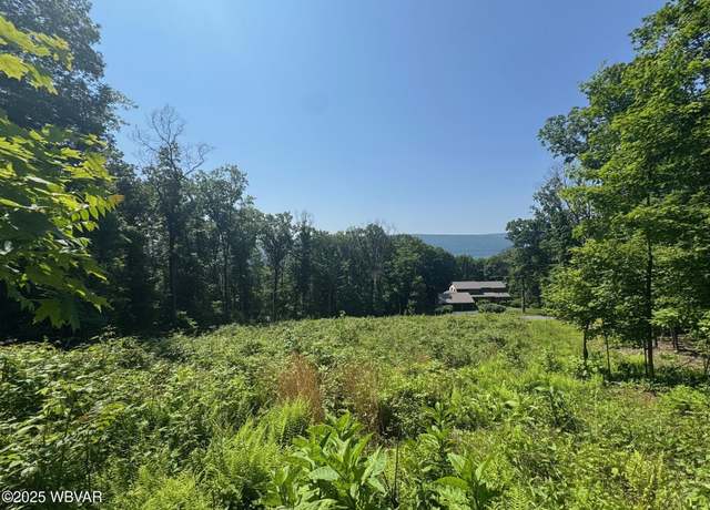 Property at 00 Rakestraw Rd, Montoursville, PA 17754