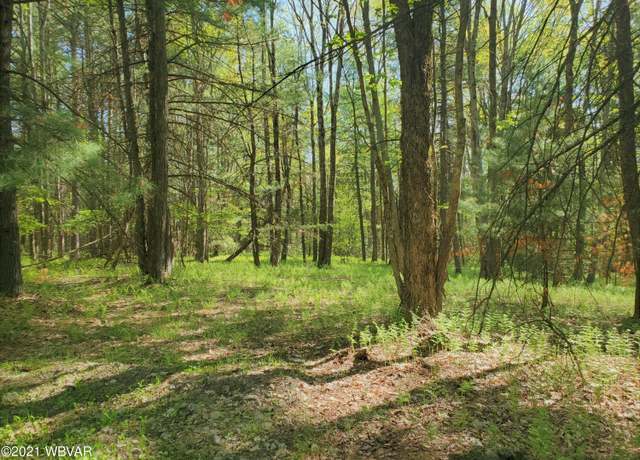 Property at Old Pike Rd, Lock Haven, PA 17745