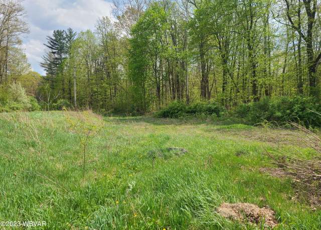 Property at 125 Dry Run Rd, Lamar, PA 16848