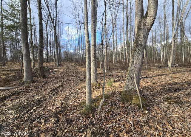 Property at 171 Stopper Rd, Jersey Shore, PA 17740