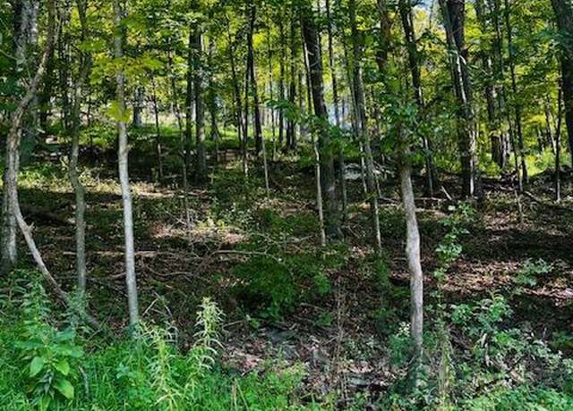 Property at Saint Michaels Rd, Cogan Station, PA 17728