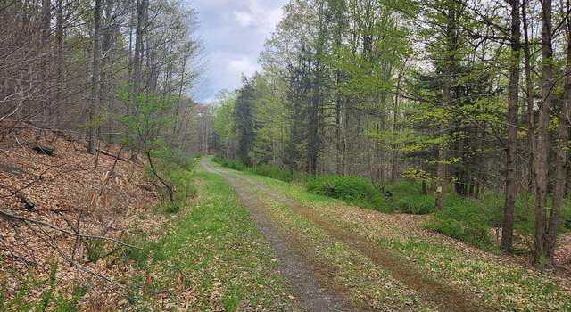 Photo of Woodland Dr, Eagles Mere, PA 17731