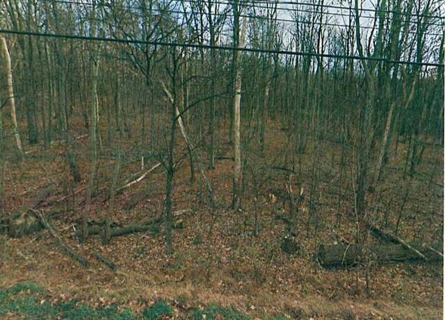 Property at Pa-93, Nescopeck, PA 18635