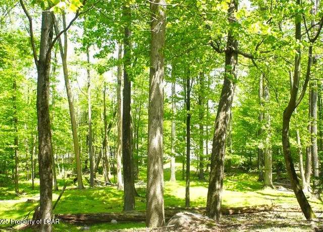 Property at Shingle Mill Dr, Drums, PA 18222