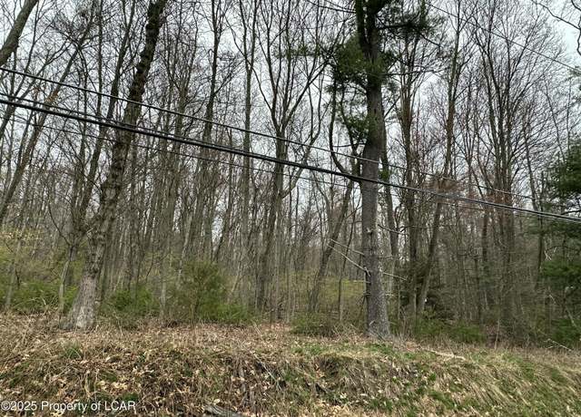 Property at Pond Hill Mountain Rd, Wapwallopen, PA 18660