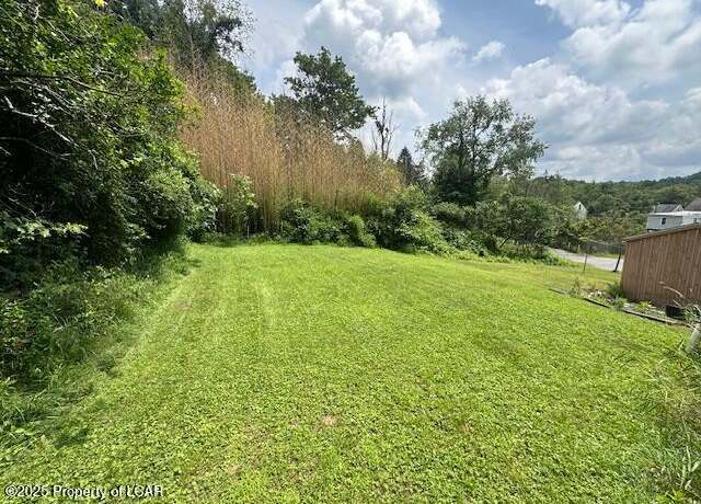 Property at Theresa St, Shenandoah, PA 17876