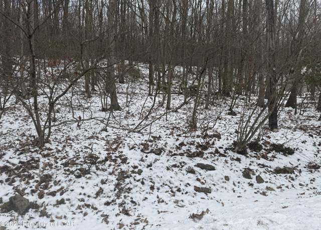 Property at Bear Run Dr, Drums, PA 18222