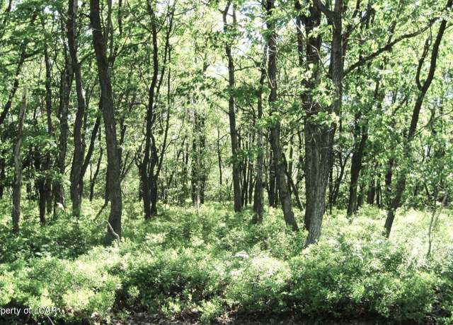 Property at Stony Mountain Rd, Hazle Twp, PA 18202
