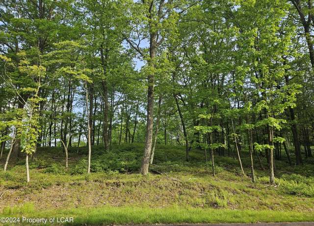 Property at Timothy Dr, East Union Township, PA 17985