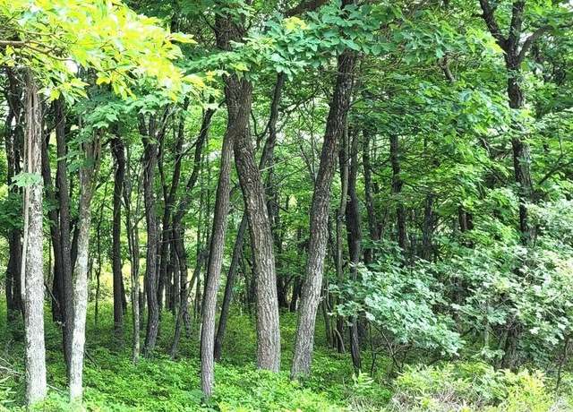 Property at Poppy Hills Rd, Hazle Twp, PA 18202