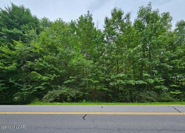 Property at State Route 118, Lehman, PA 18612