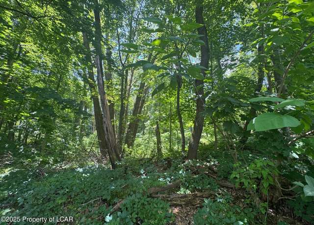 Property at Keyser Ave, Scranton, PA 18505