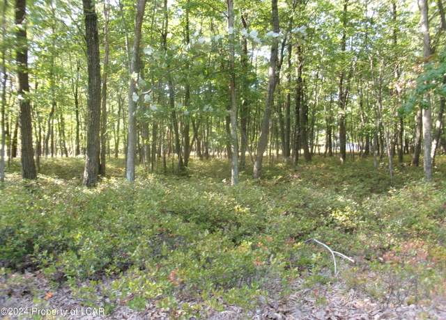 Property at Castle Pines Ln, Hazle Twp, PA 18202