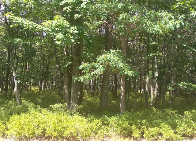 Property at Big Mountain Ln, Hazle Twp, PA 18202