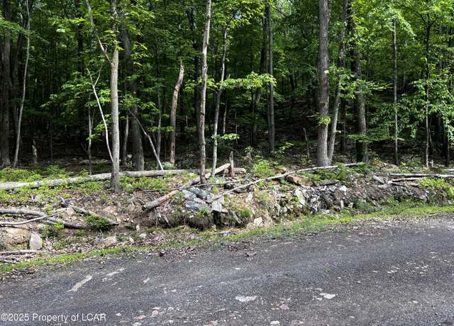 Property at Rear Old Berwick (burma Rd), Rd, Sugarloaf, PA 18249