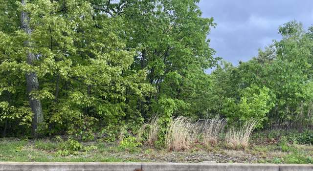 Photo of Bunker Dr, Hanover Township, PA 18706