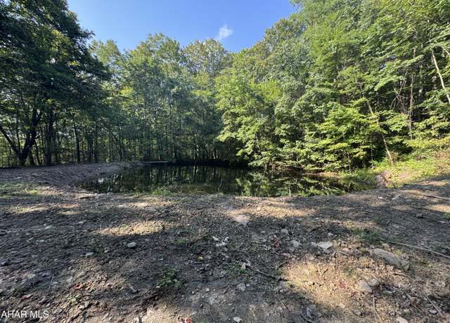 Property at 0 Gallitzin (robbins St) Rd, Gallitzin, PA 16641