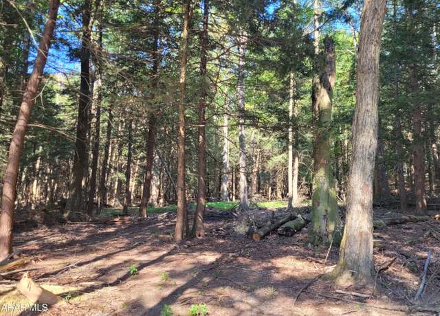 Property at 0 Eagle Crest Ln, Flinton, PA 16640