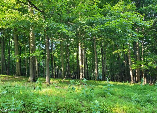 Property at T178 Christopher Rd, Flinton, PA 16640