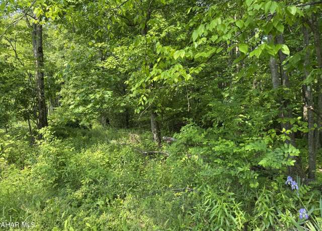Property at Off Hillside Dr, Ashville, PA 16613