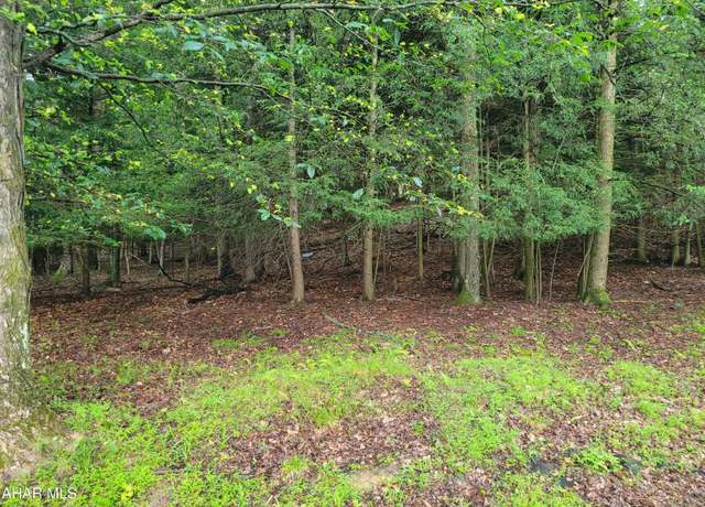 Property at 257-265 Red Oak Rd, Flinton, PA 16640