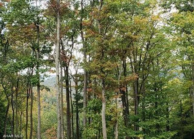 Property at 193l Ridge Run Rd, Claysburg, PA 16625
