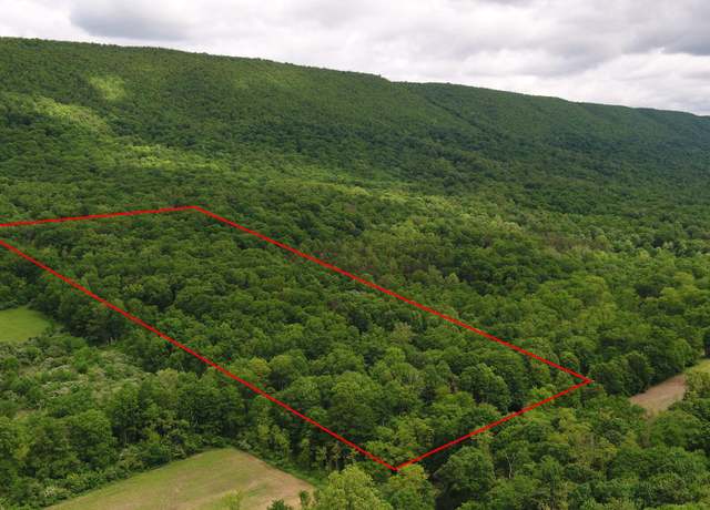 Property at 00 Black Valley Rd, Everett, PA 15537