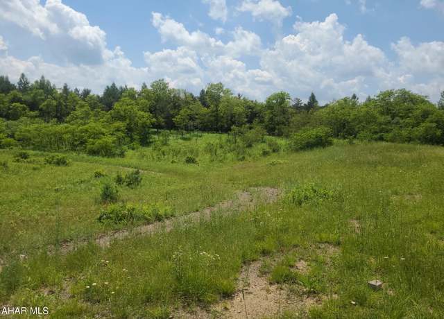 Property at 00 Mountain Dale Rd, Fallentimber, PA 16639
