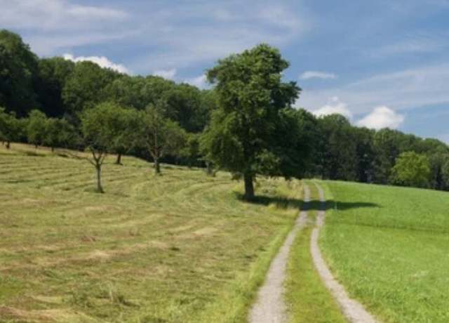 Property at 000 Puritan Rd Rd, Portage, PA 15946
