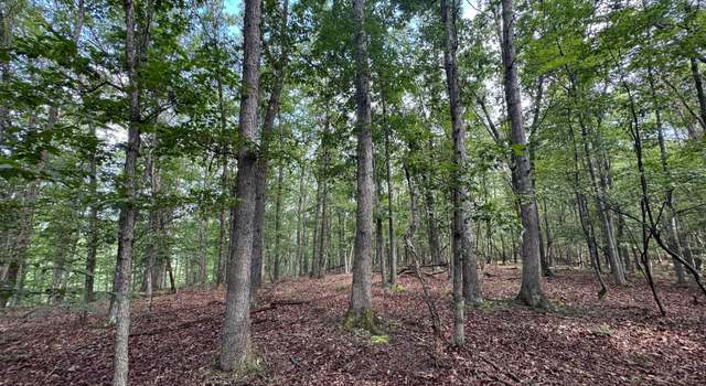 Photo of Off Tulls Hill Rd, Manns Choice, PA 15550