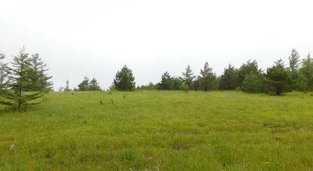 Photo of 0 Skyline Dr, Blandburg, PA 16619