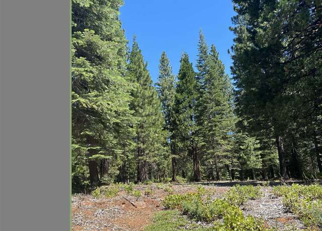 Property at 105 Fox Head Dr, Lake Almanor, CA 96137