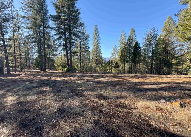 Property at 1210 Upper Pecks Valley Rd, Greenville, CA 95947