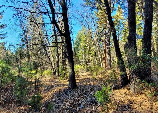 Property at 59791 Highway 70, Blairsden, CA