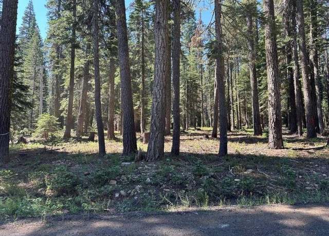 Property at 528 Countryman Dr, Bucks Lake, CA 95971