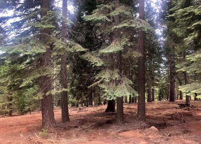 Property at 109 Marion Trl, Chester, CA 96020