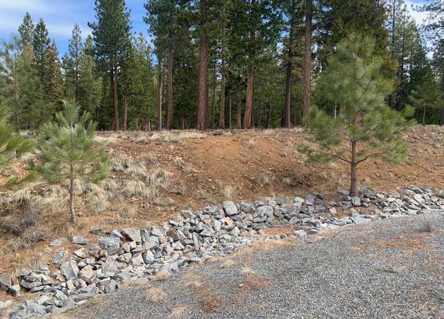 Property at 119 Smith Peak Dr, Portola, CA 96122