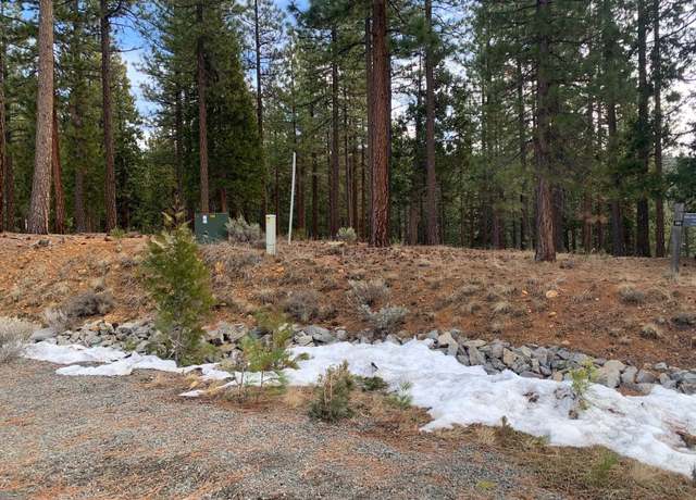 Property at 125 Bird of Prey Ln, Portola, CA 96122