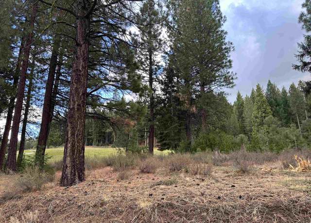 Property at 1348 Red Sky, Portola, CA 96122