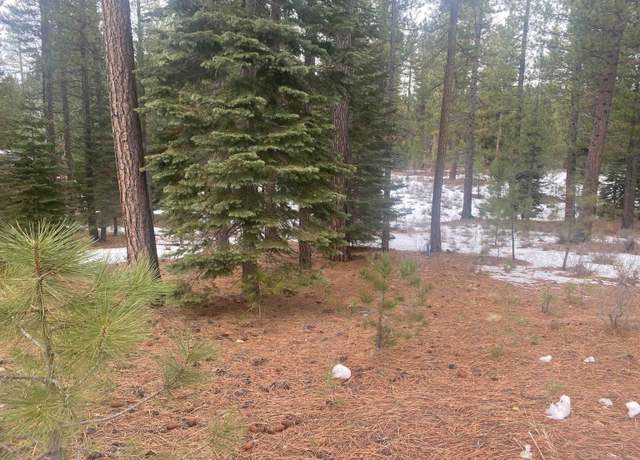 Property at 877 Miner's Psge, Clio, CA 96106