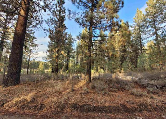 Property at 123456 Idle Hour Dr, Portola, CA 96122