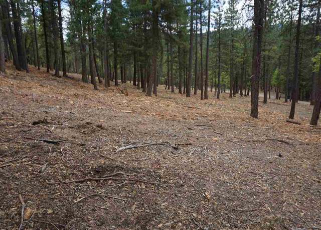 Property at 47171 Highway 70, Quincy, CA 95971