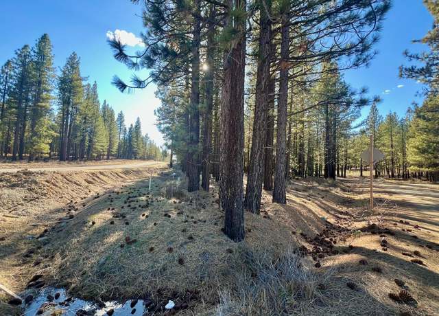 Property at 71849 Carrie Court Trl, Delleker, CA 96122