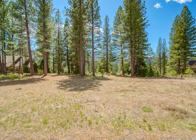 Property at 118 Saddle Ridge Rd, Clio, CA 96106