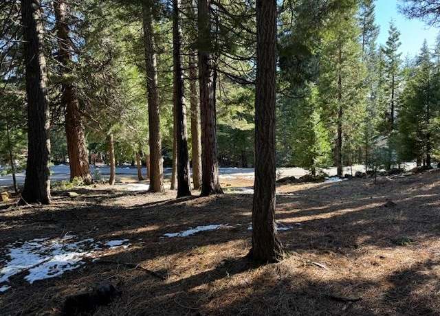 Property at 723 Clifford Dr, Lake Almanor, CA 96137