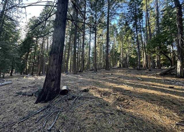 Property at 673 E Mountain Ridge Rd, Lake Almanor, CA 96137